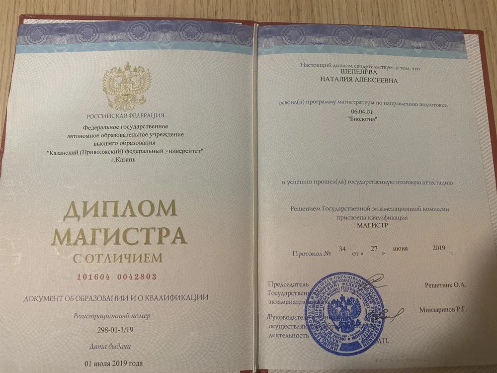 Диплом магистра 