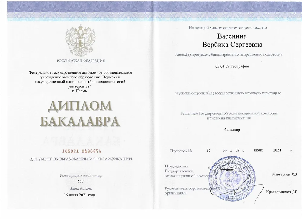 Диплом бакалавра