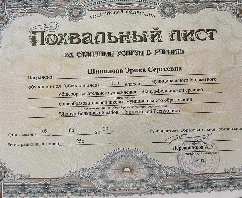 Похвальный лист за отличные успехи в учении 