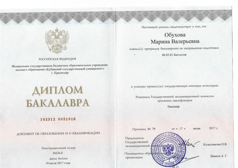 Диплом бакалавра 