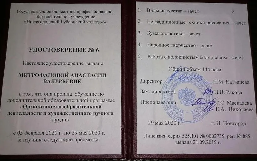 Удостоверение по дополнительной образовательной программе "Организация изобразительной деятельности и художественного ручного труда" 