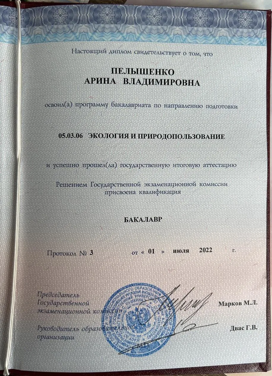 Диплом о высшем образовании с отличием