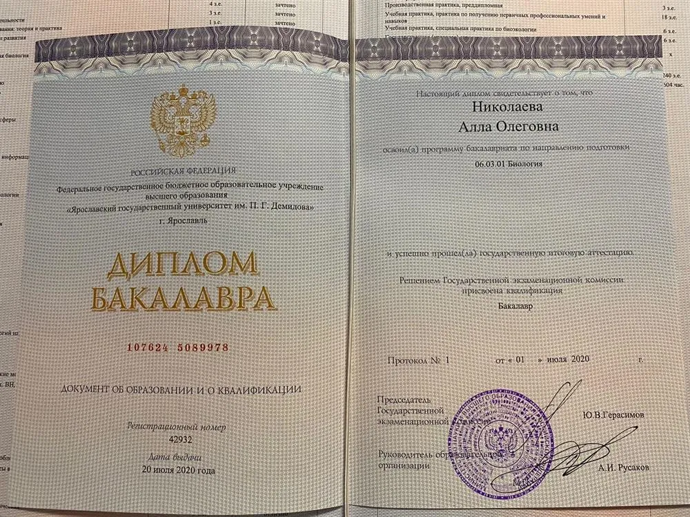 Диплом бакалавра
