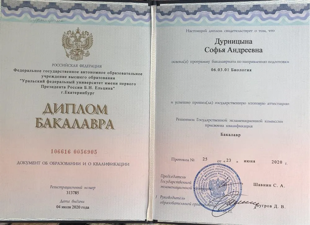 Диплом бакалавра