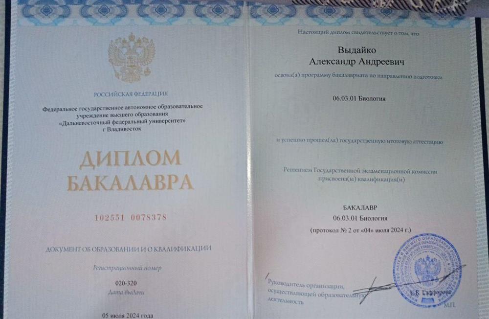 Диплом бакалавра 