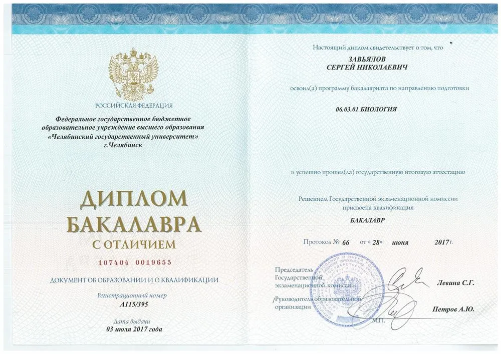 Диплом бакалавра