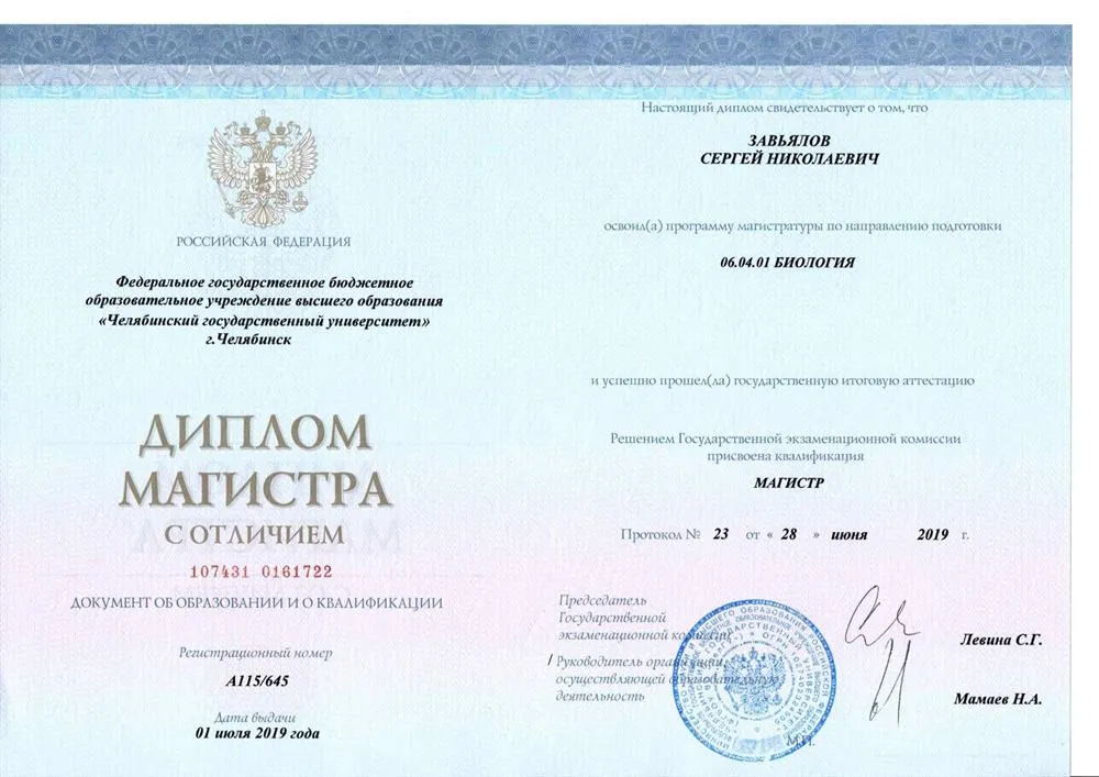 Диплом магистра