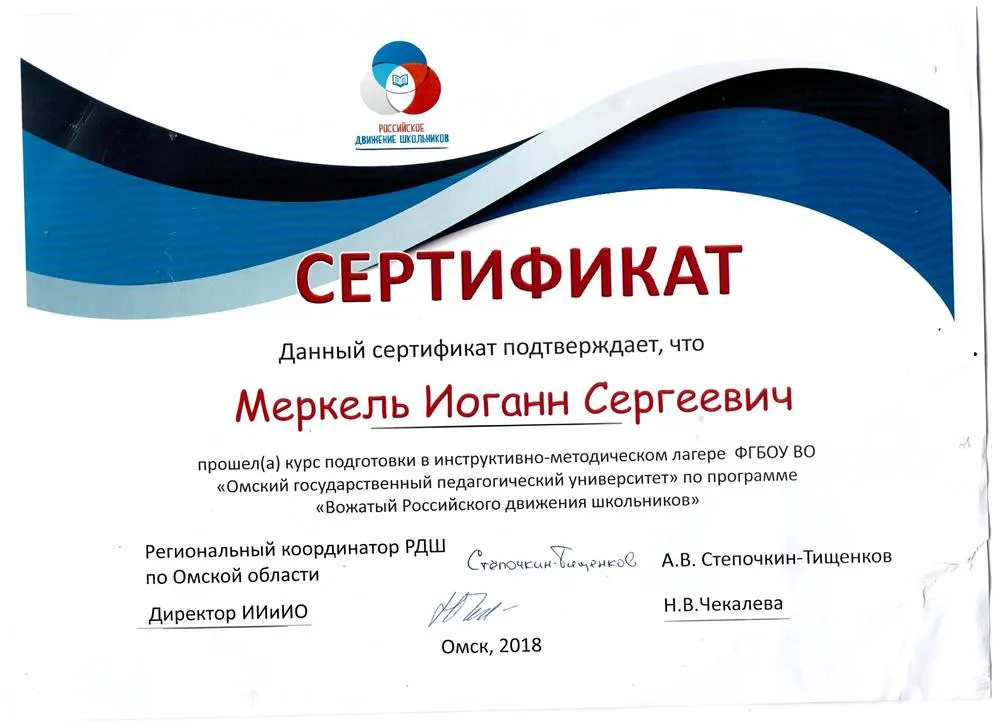 Сертификат (вожатый РДШ)