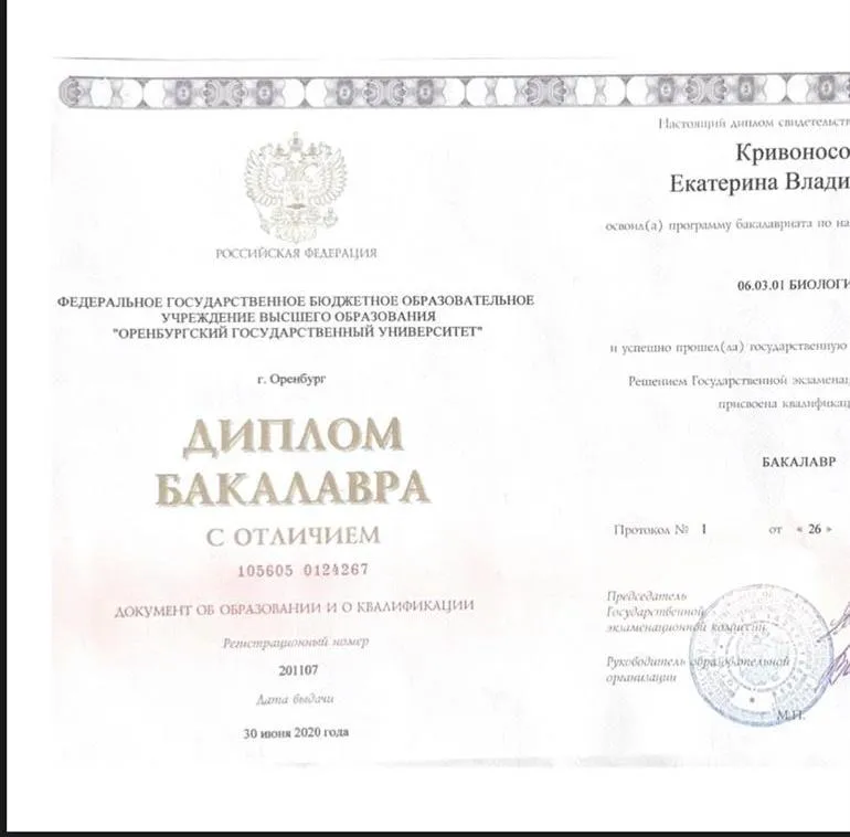Диплом бакалавра