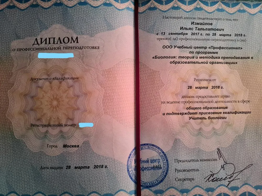 Диплом №1