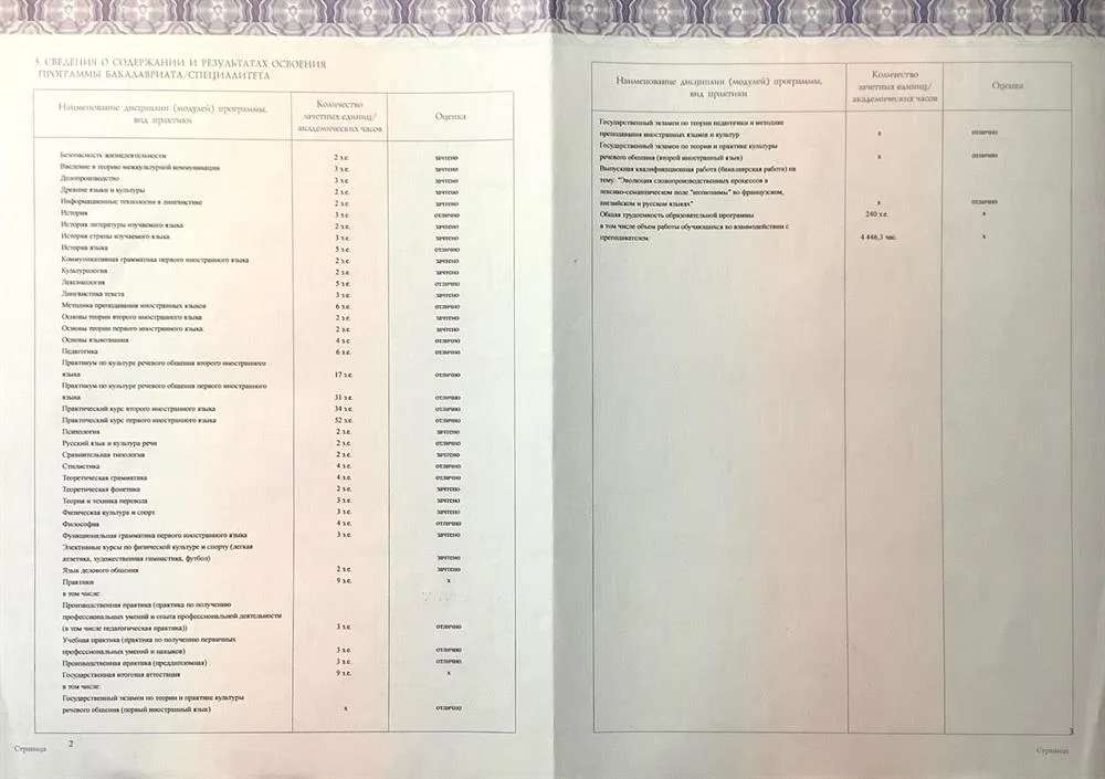 Диплом бакалавра (3)