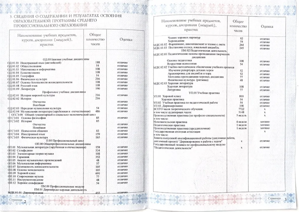 Оценки СПО АМУ при МГК