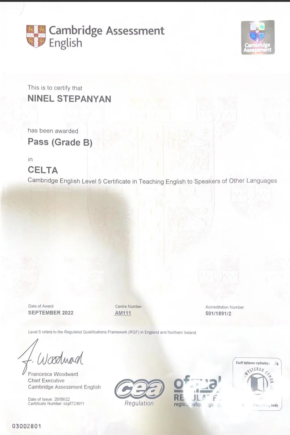 (Cambridge Certificate in Teaching English to Speakers of Other Languages ) с отличием (Pass B)