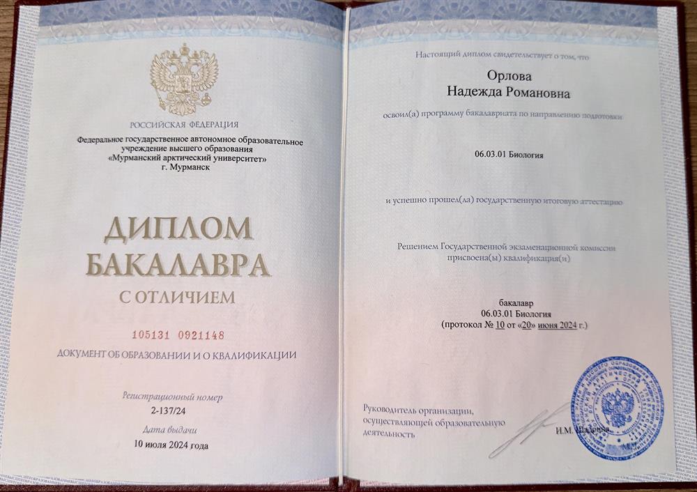 Диплом о высшем образовании 