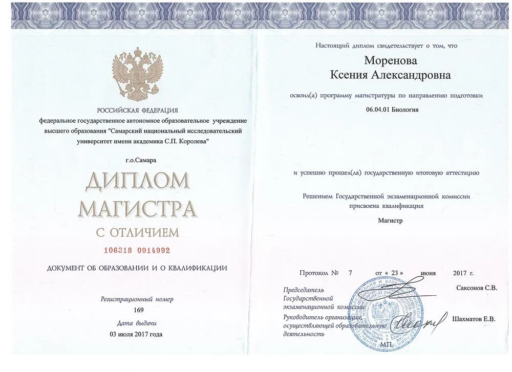 Диплом Магистра
