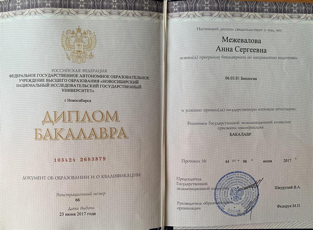 Диплом об окончании бакалавриата