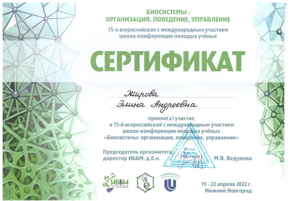 Сертификат об участии в конференции в 2022 году