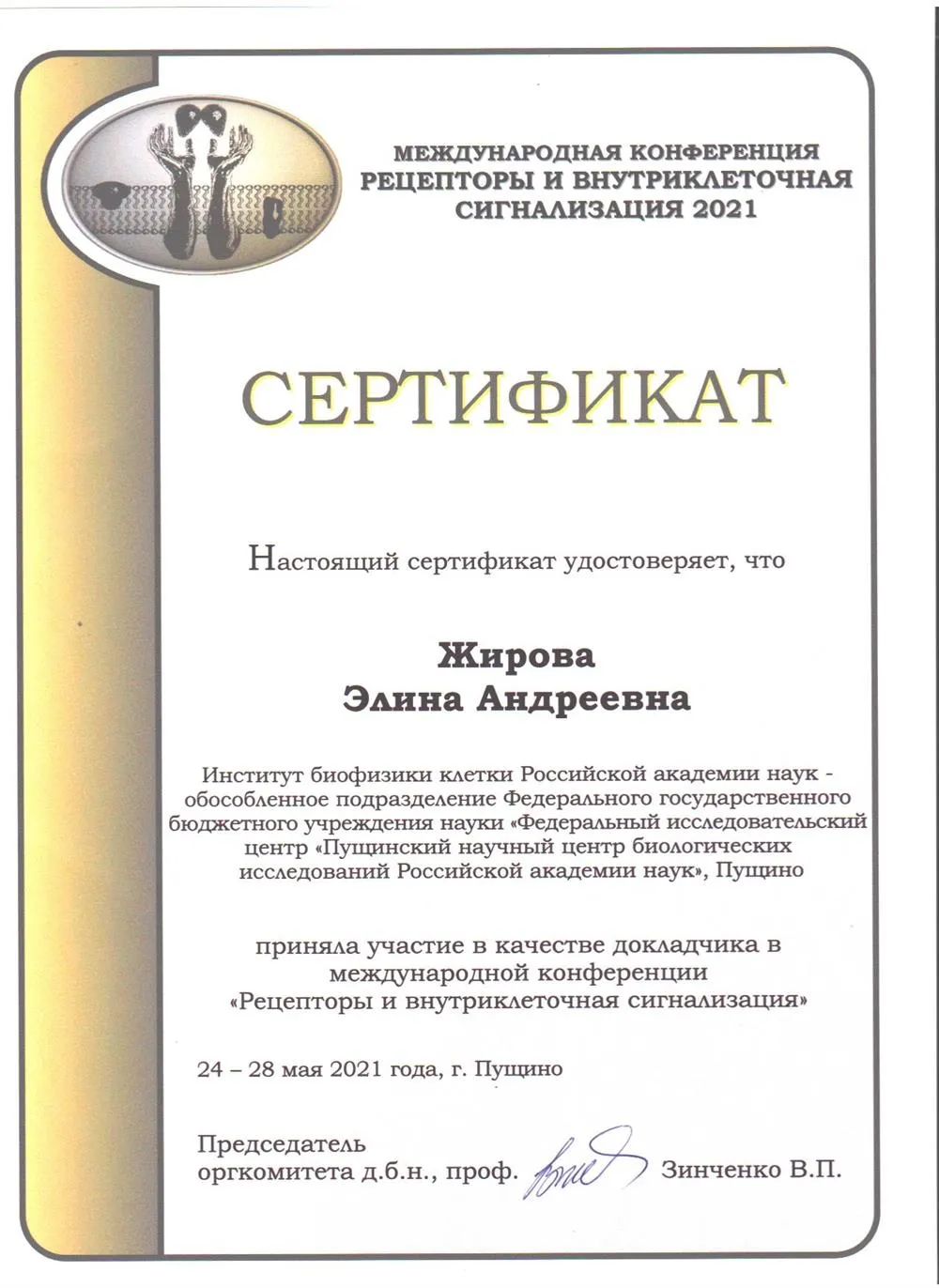 Сертификат об участии в конференции в 2021 году