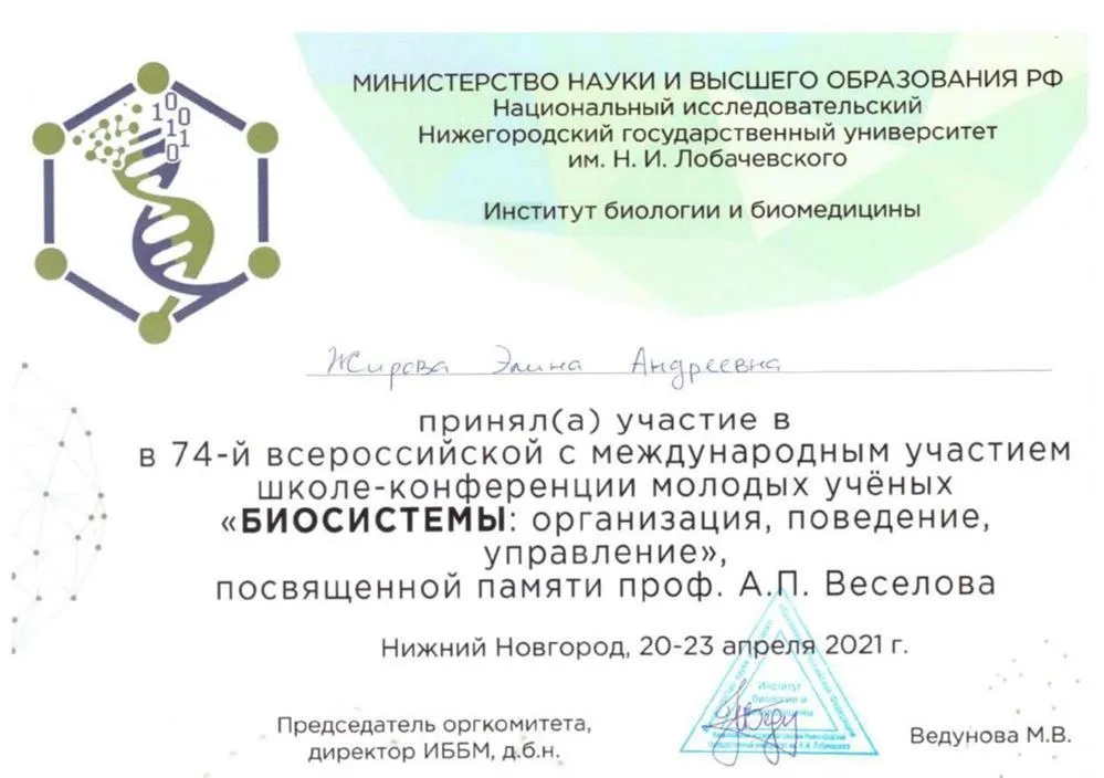 Сертификат участника конференции в 2021 году