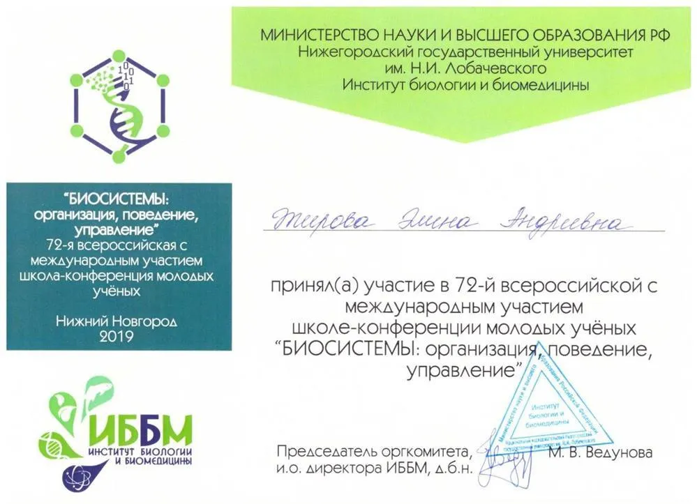 Сертификат участника конференции в 2019 году