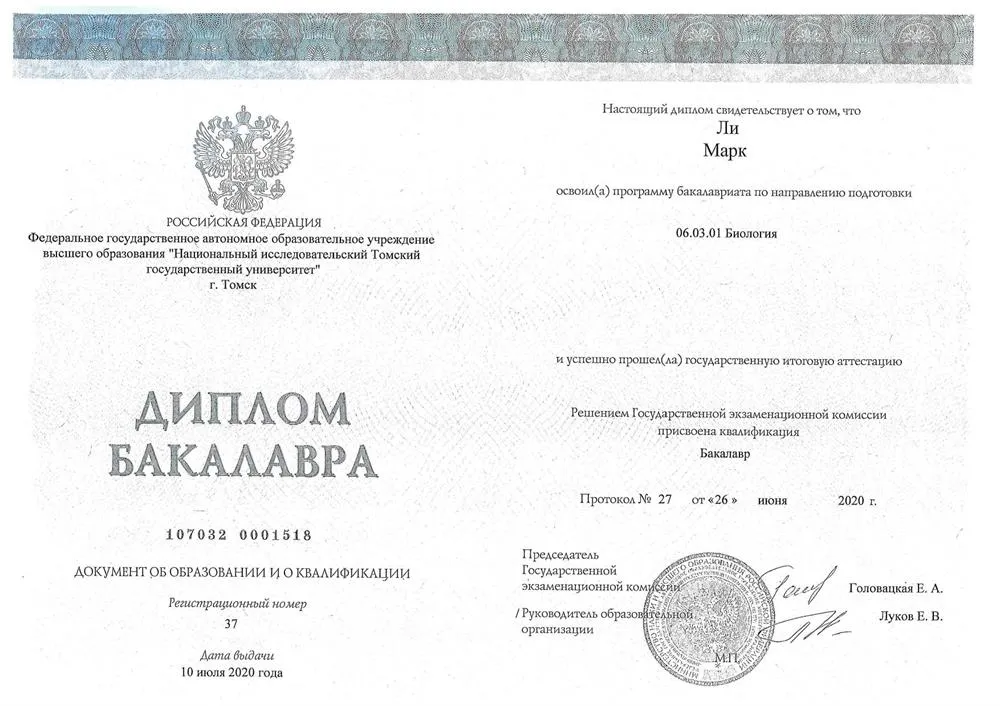 Диплом БАКАЛАВРА