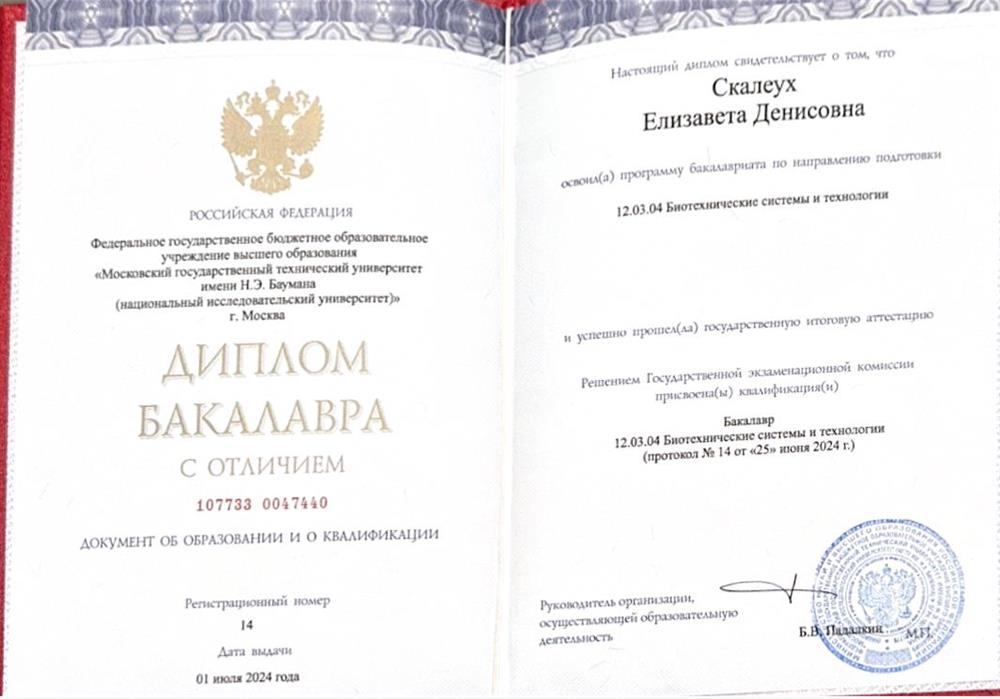 Диплом бакалавра 