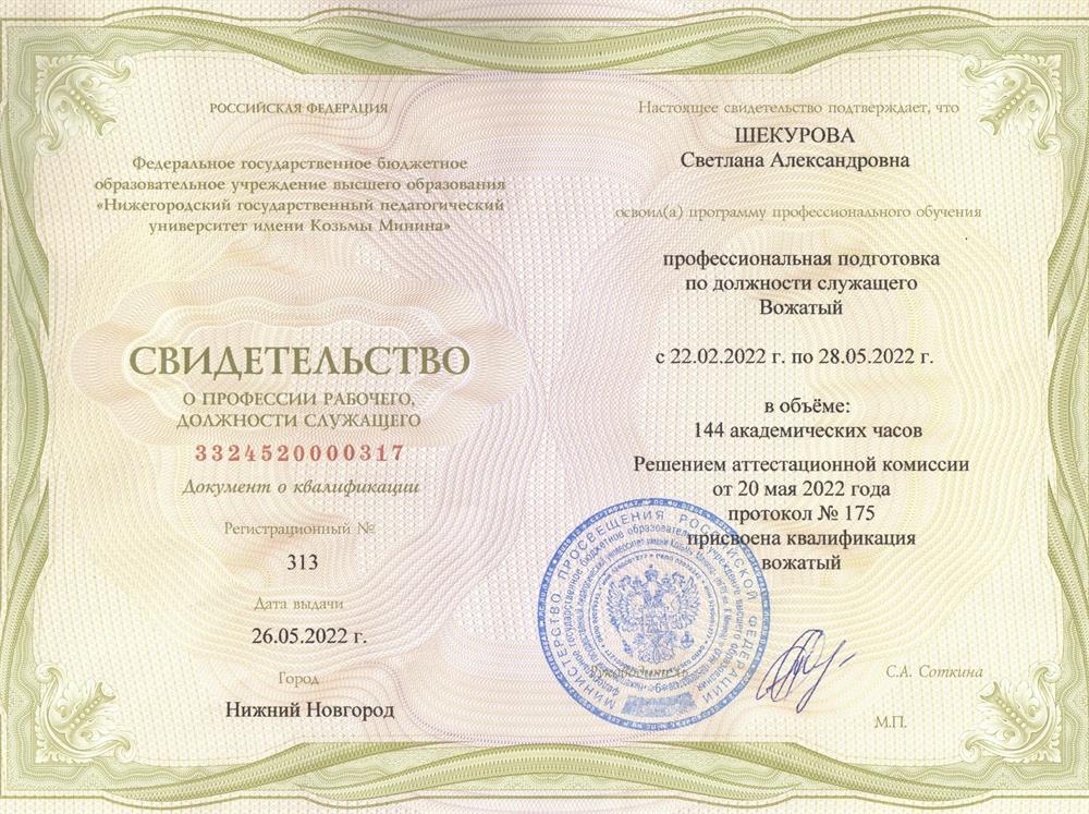 Свидетельство о профессии вожатого
