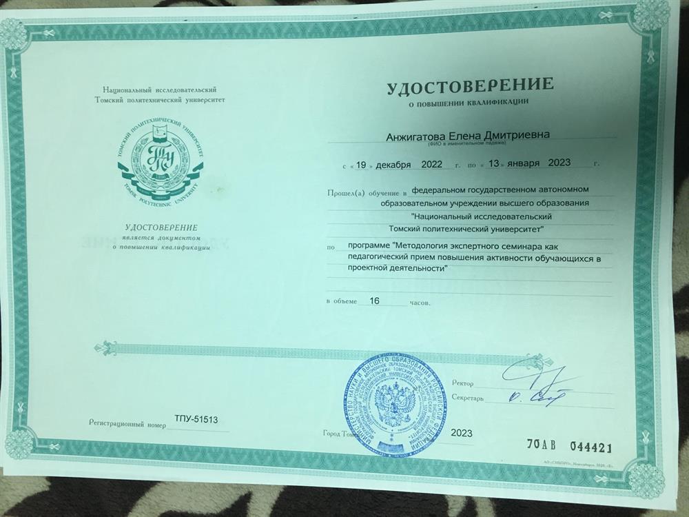 Удостоверение о прохождении курса "Методология экспертного семинара как педагогический прием повышения активности обучающихся в проектной деятельности"