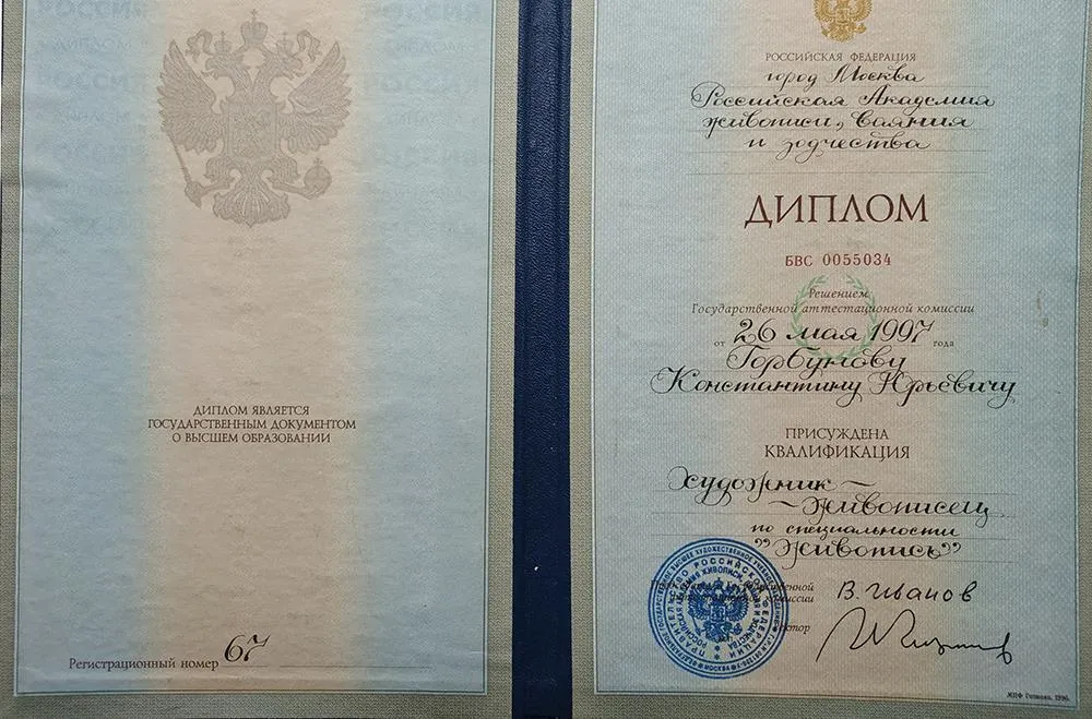 Диплом. Российская академия живописи, ваяния и зодчества Ильи Глазунова