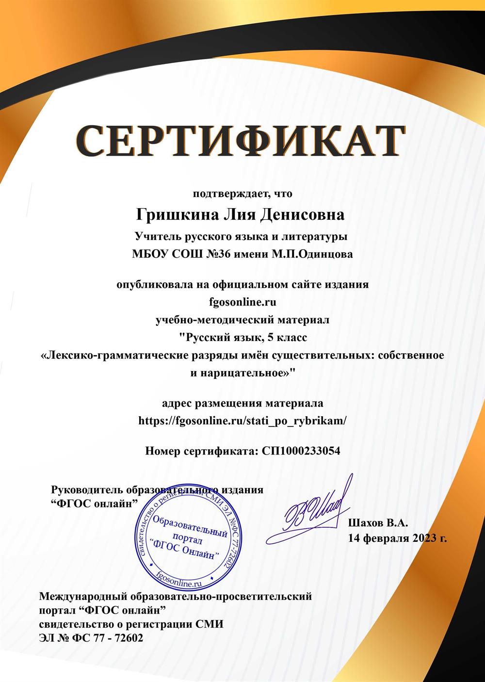 Сертификат о публикации на методическом сайте 