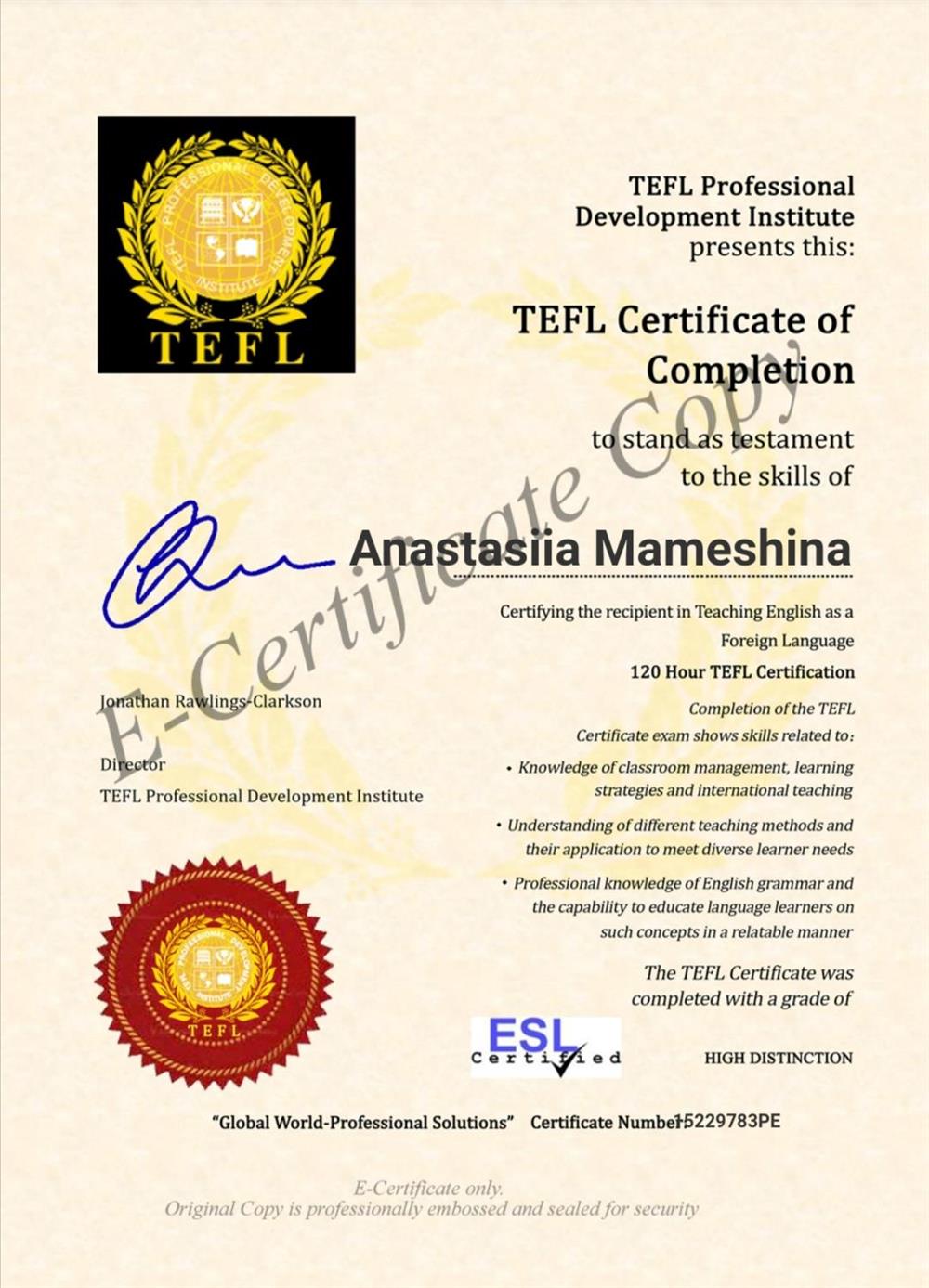 Сертификат. TEFL Professional Development Institute. 120-hour TEFL Certificate