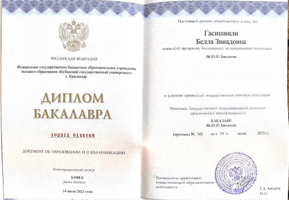 Диплом бакалавра
