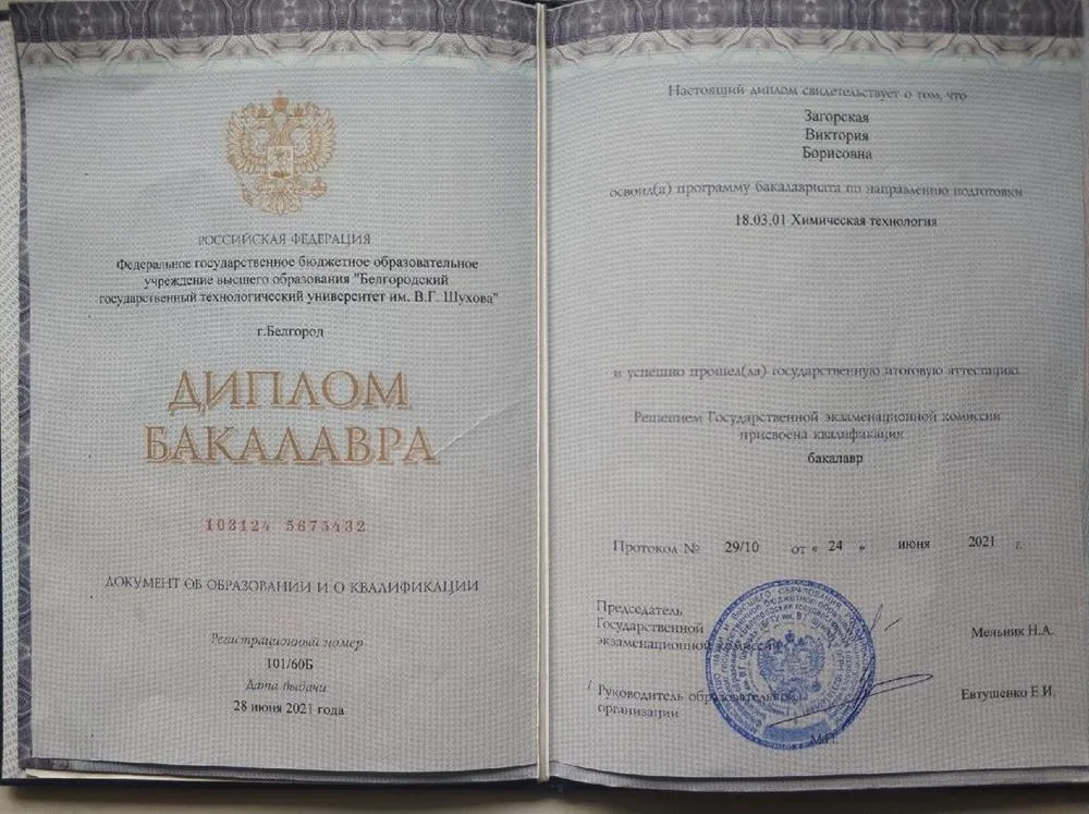 Диплом бакалавра 