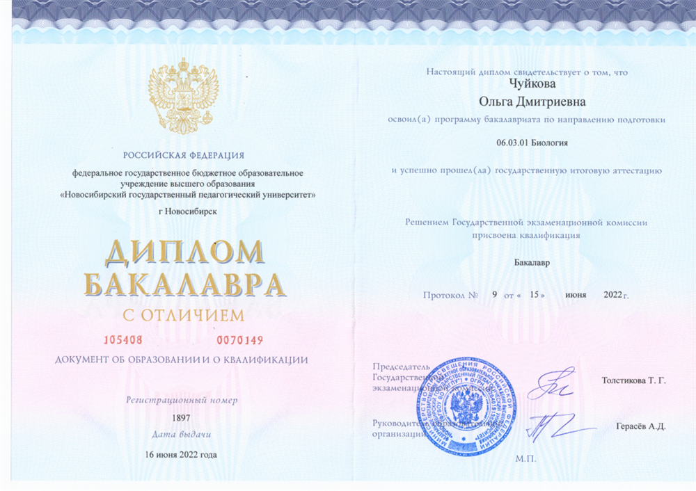 Диплом бакалавра с отличием