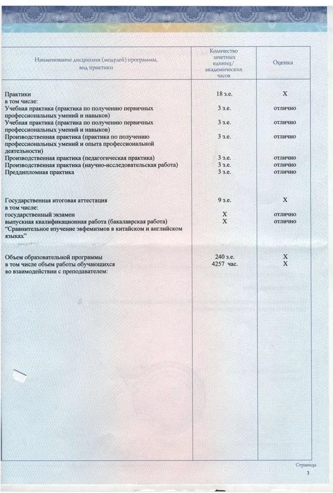 Приложение к диплому