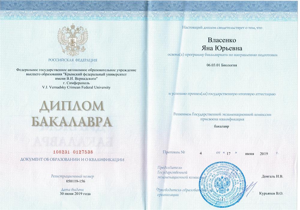 Диплом бакалавра
