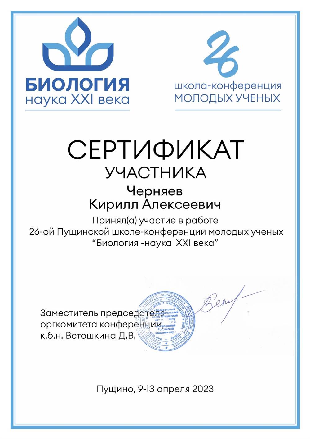 Сертификат участника конференции