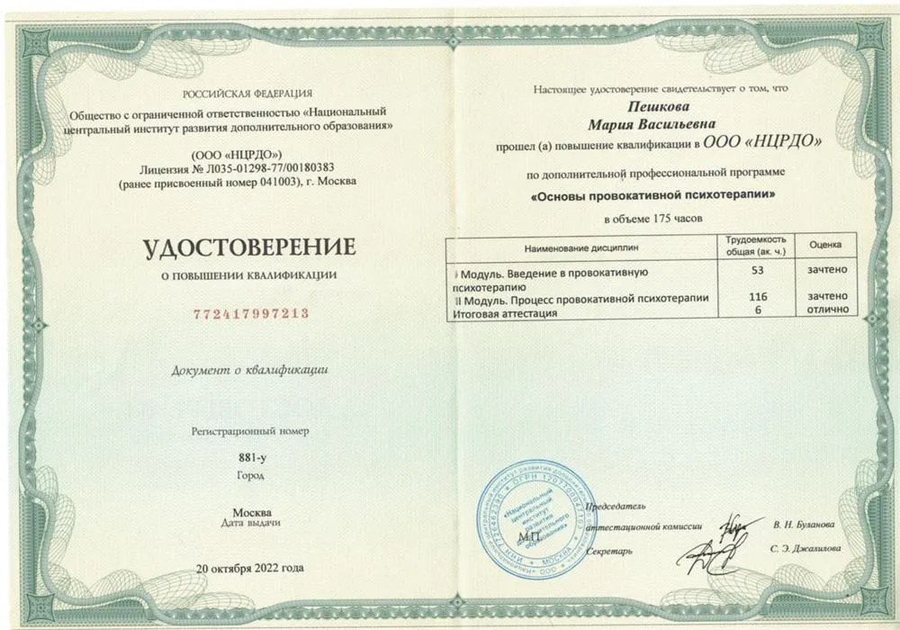 Основы провокативной психотерапии