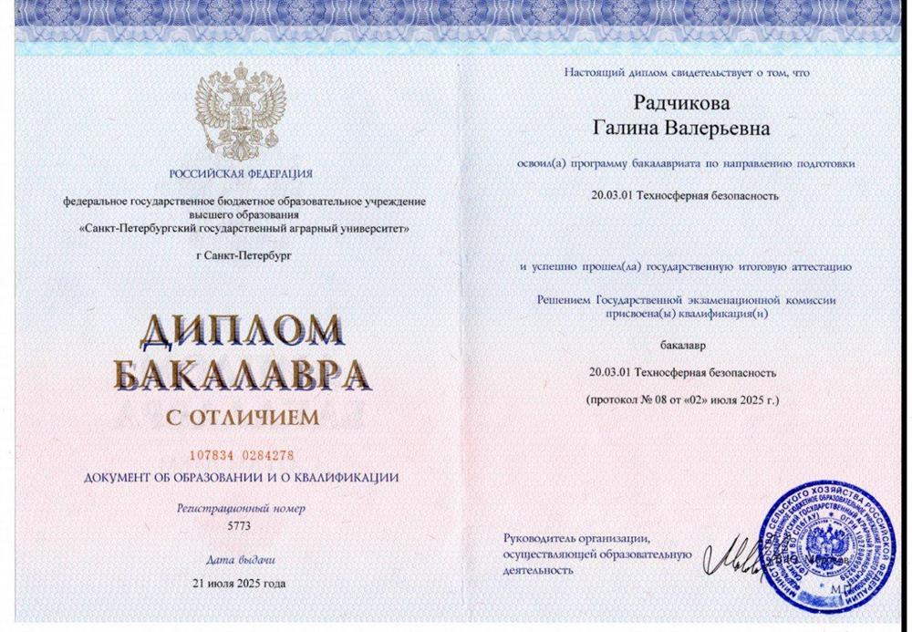Диплом бакалавра