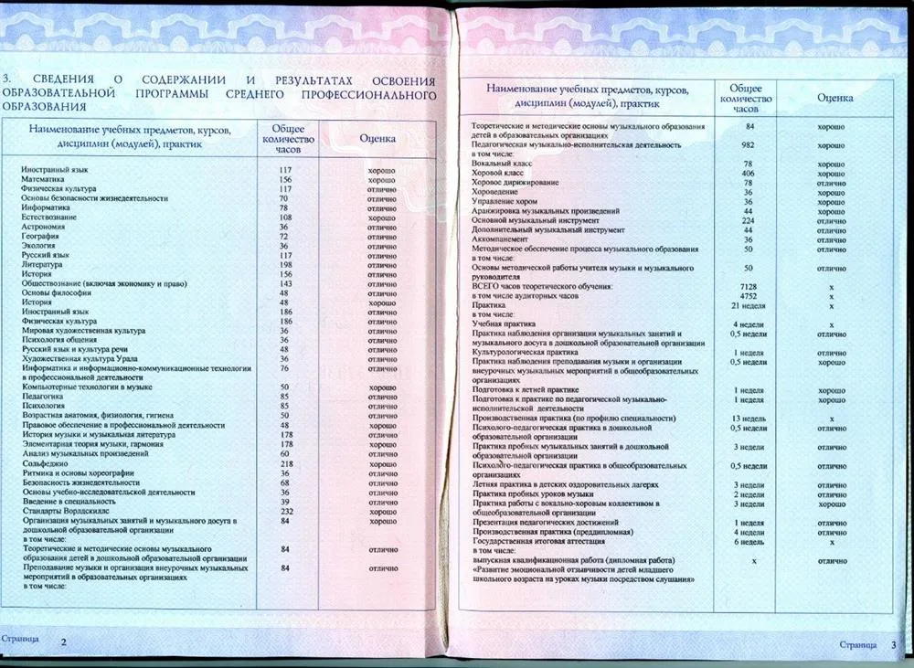 Диплом о среднем профессиональном образовании 3-4 стр