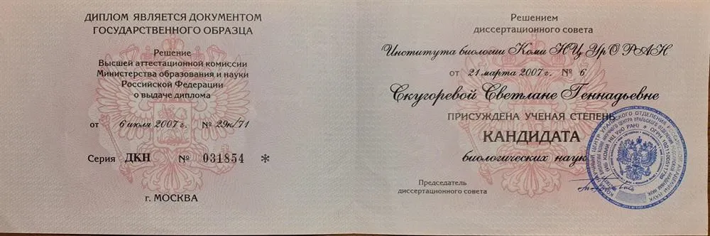 Диплом кандидата