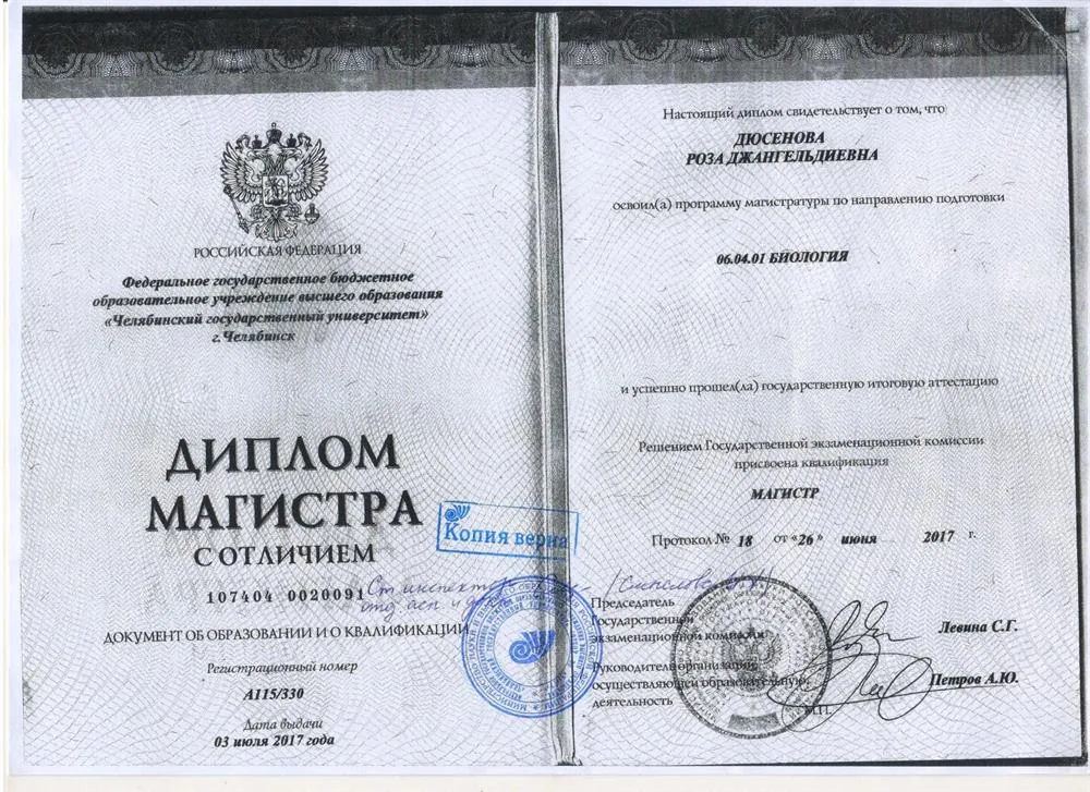 Диплом магистра 