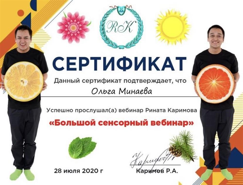 Сенсорный вебинар 