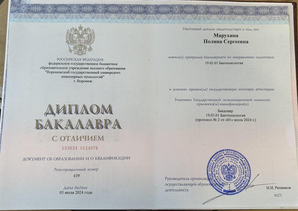 Диплом бакалавра