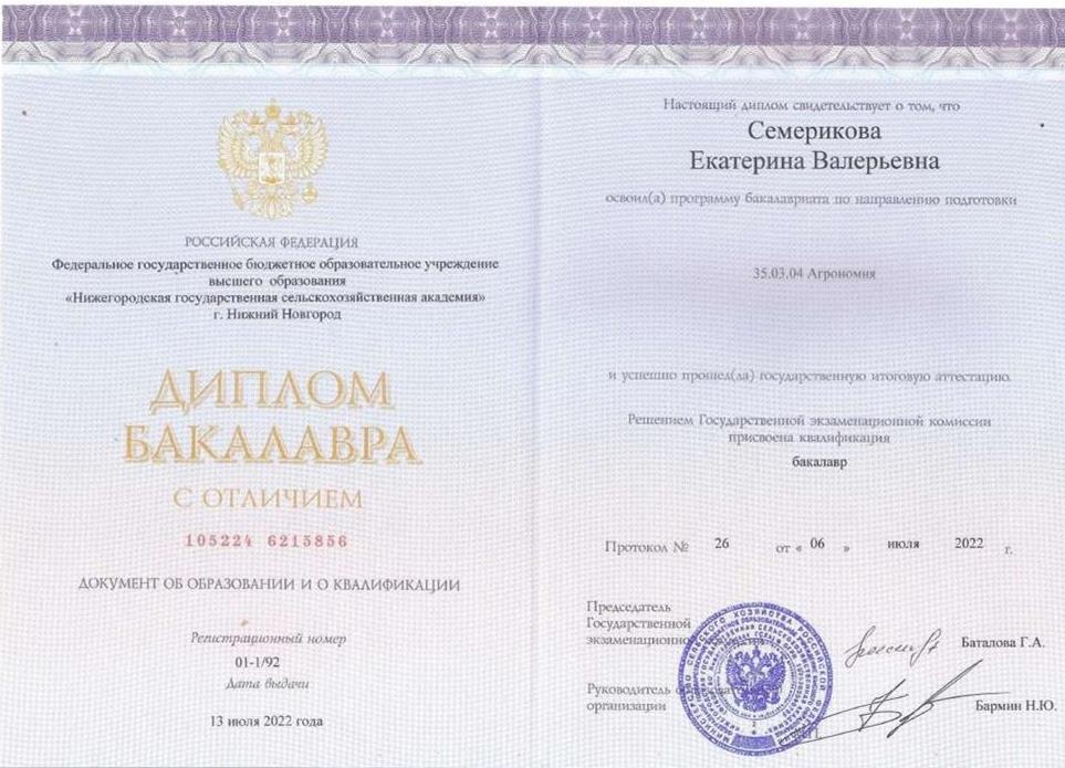 Диплом о высшем образовании