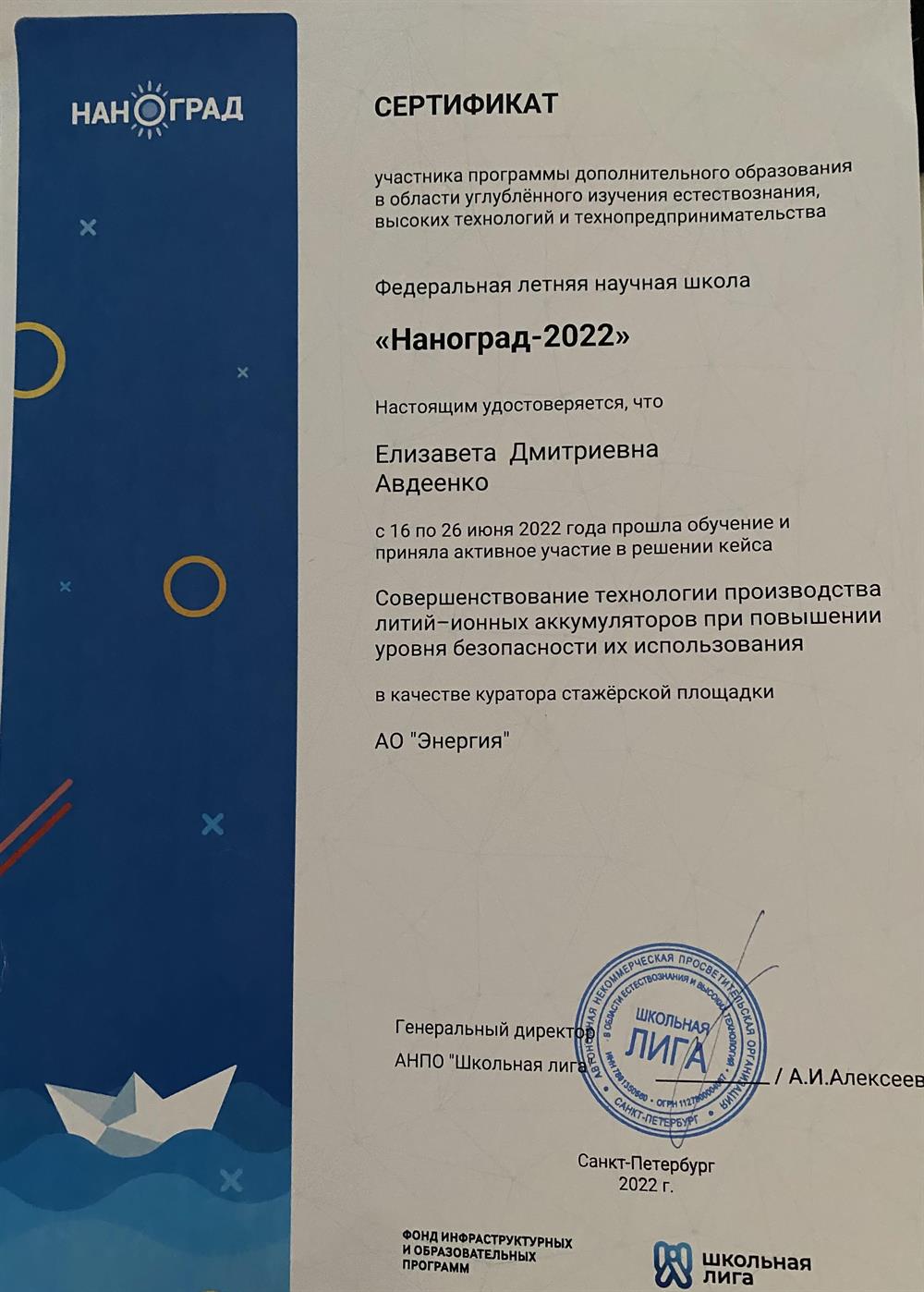 Преподаватель летней научной школы «Наноград» (куратор)