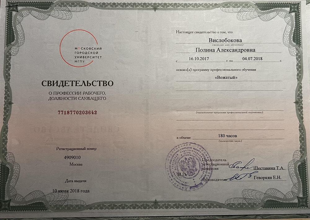 Свидетельство вожатый 