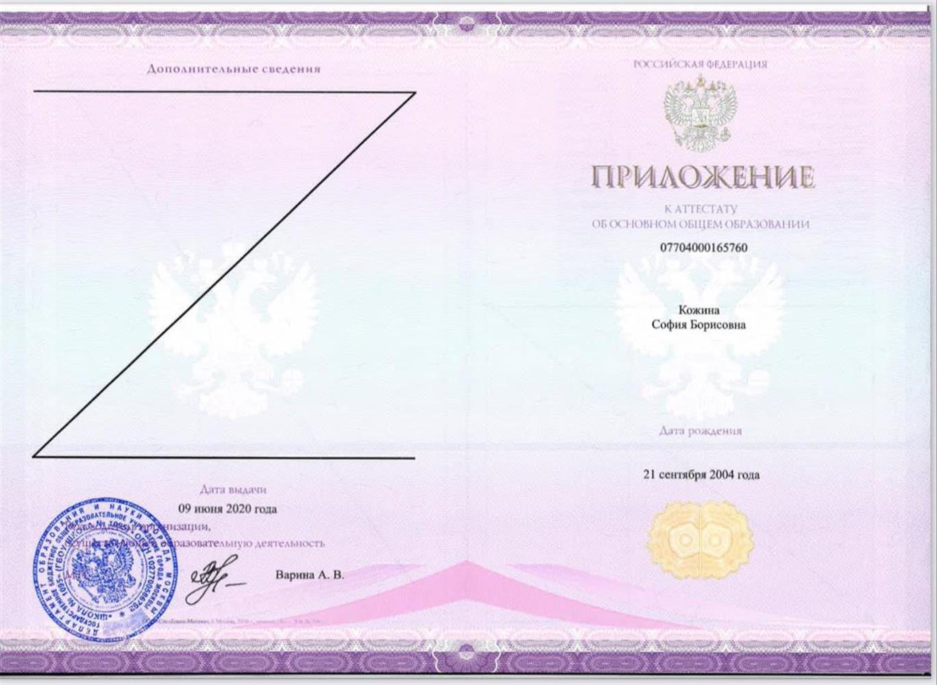 Аттестат 9 класс