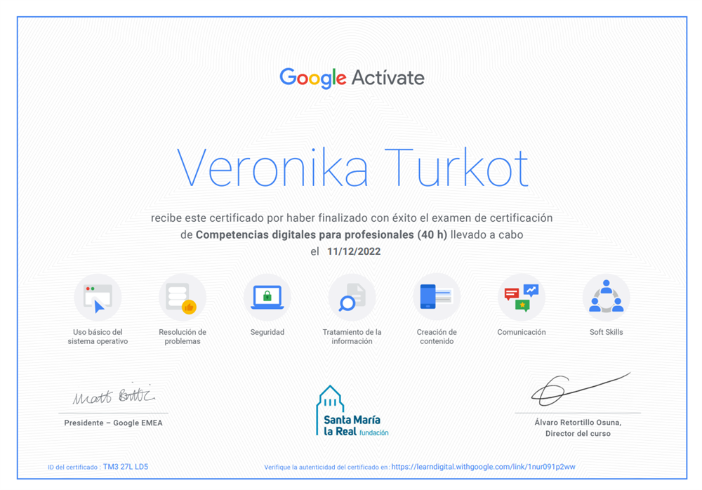 Competencias digitales para profecionales