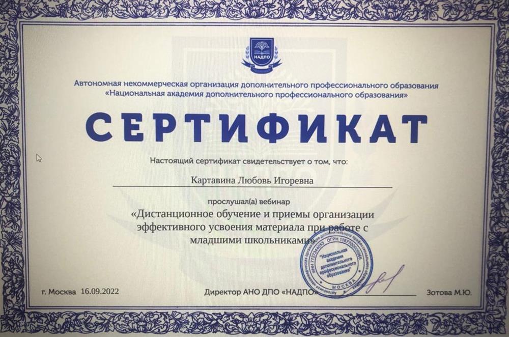 Дистанционное обучение и приемы организации эффективного усвоения материала при работе с младшими школьниками